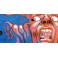 LP King Crimson ‎– In The Court Of The Crimson King (album)