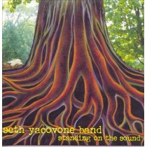 CD Seth Yacovone Band- standing on the  sound