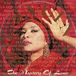 LP JOY SALINAS THE MISTERY OF LOVE 