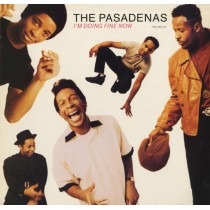 LP 12" THE PASADENAS I'M DOING FINE NOW 5099765771862