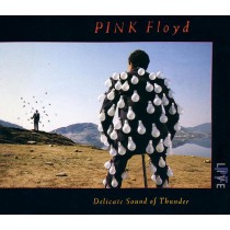 CD DOPPIO PINK FLOYD DELICATE SOUND OF THUNDER 077779148028