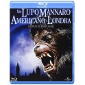 DVD Un lupo mannaro americano a Londra