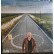    2XLP VASCO ROSSI " SIAMO QUI " 602438855681