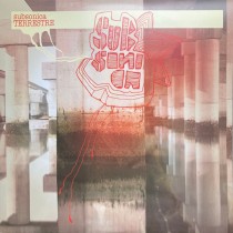 CD SUBSONICA " TERRRESTRE " COME NUOVO! 724347764721