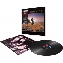 LP PINK FLOYD A COLLECTION OF GREAT DANCE SONGS 190295996901
