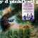 LP PINK FLOY A SAUCERFUL OF SECRET 190295506889