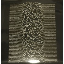 LP J.D. ( Joy Division) WARSAW RZM 2006