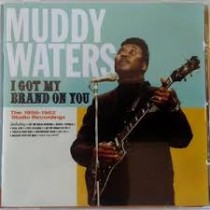 CD MUDDY WATERS I GOT MY BRAND ON YOU 8436542014229