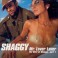 CD Shaggy- mt. lover lover the best of shaggy part 1